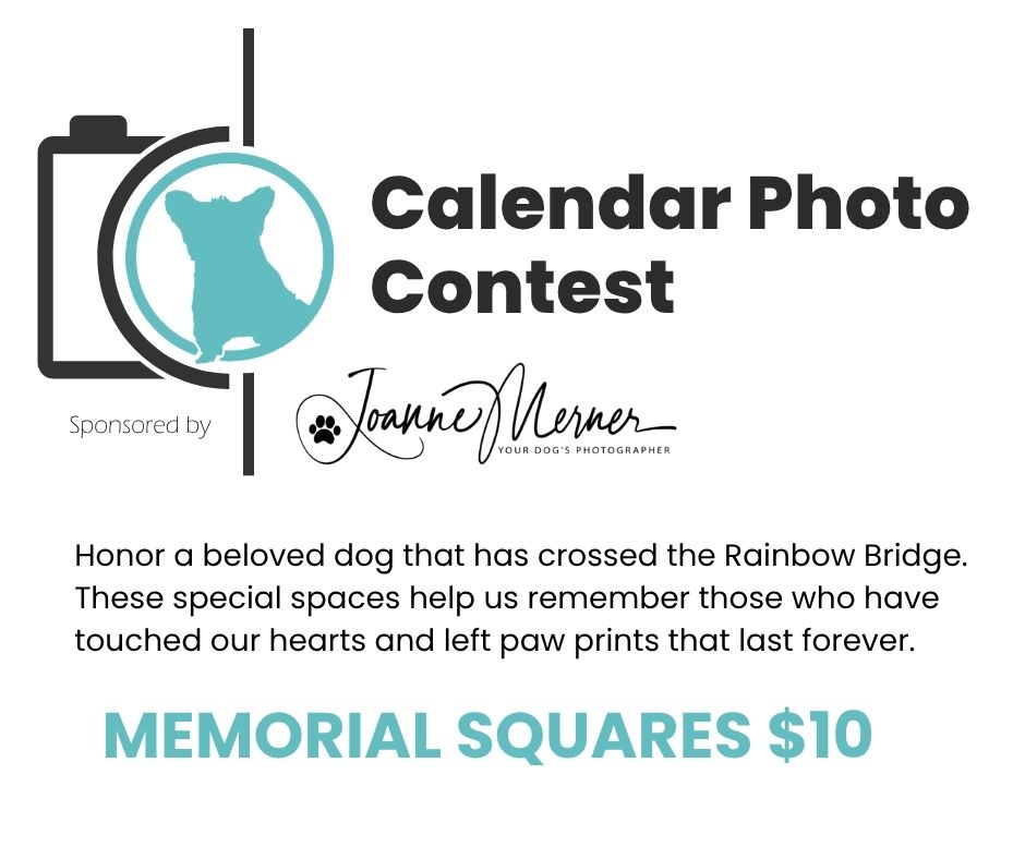 Calendar Memorial Square